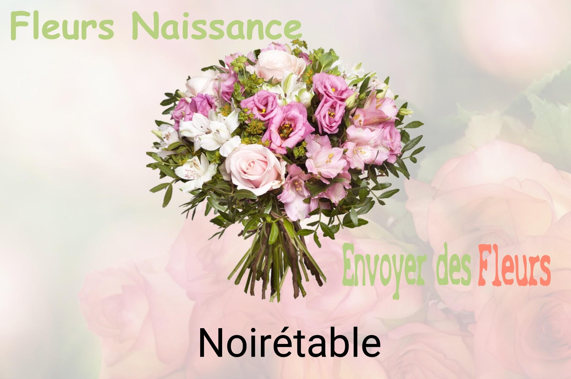 Bouquet de fleurs de naissance livré à Noirétable